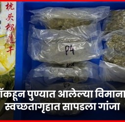 बँकॉकहून पुण्यात आलेल्या विमानात सापडला गांजा