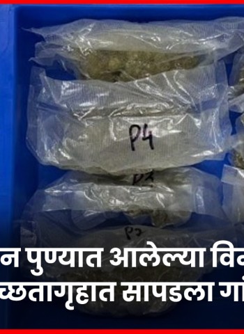बँकॉकहून पुण्यात आलेल्या विमानात सापडला गांजा