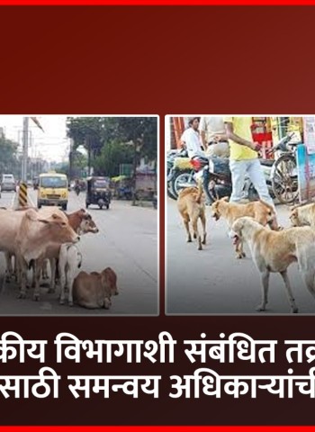 पशुवैद्यकीय विभागाशी संबंधित तक्रारींच्या निवारणासाठी समन्वय अधिकाऱ्यांची नियुक्ती