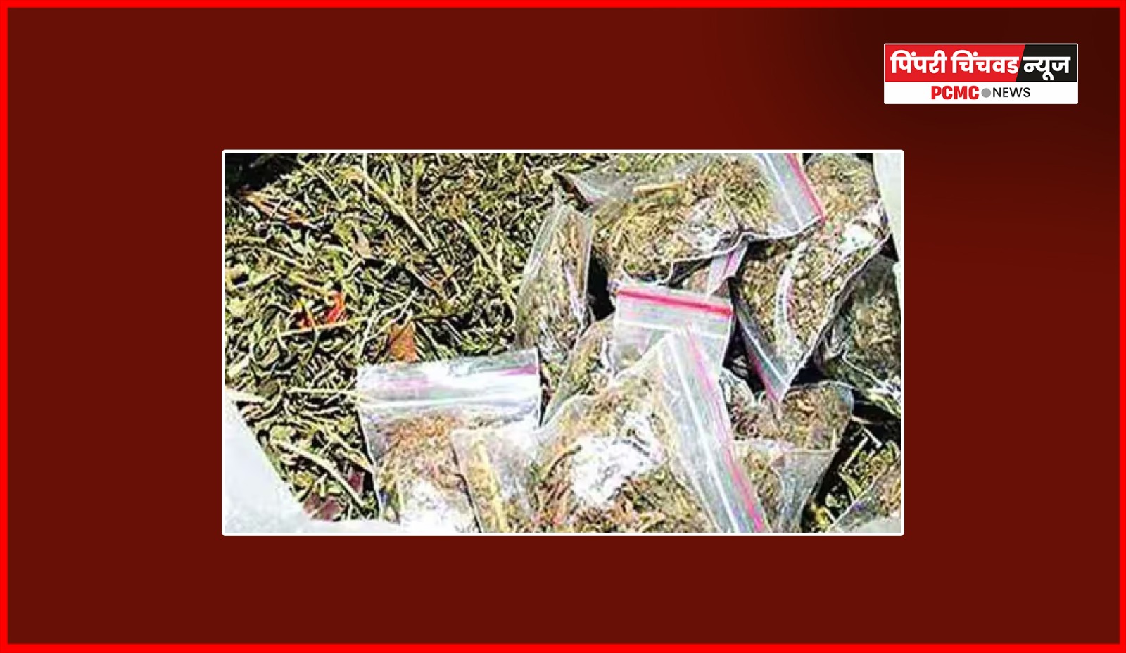 गांजा बाळगणाऱ्या इसमास मौजे चऱ्होली अटक