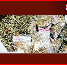 गांजा बाळगणाऱ्या इसमास मौजे चऱ्होली अटक