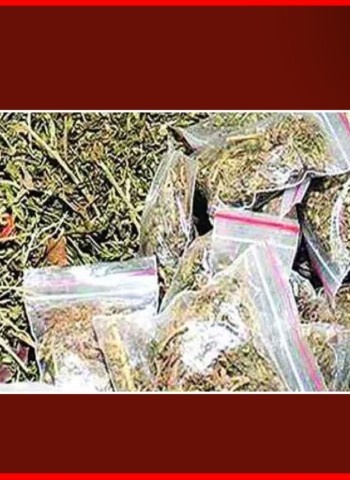 गांजा बाळगणाऱ्या इसमास मौजे चऱ्होली अटक