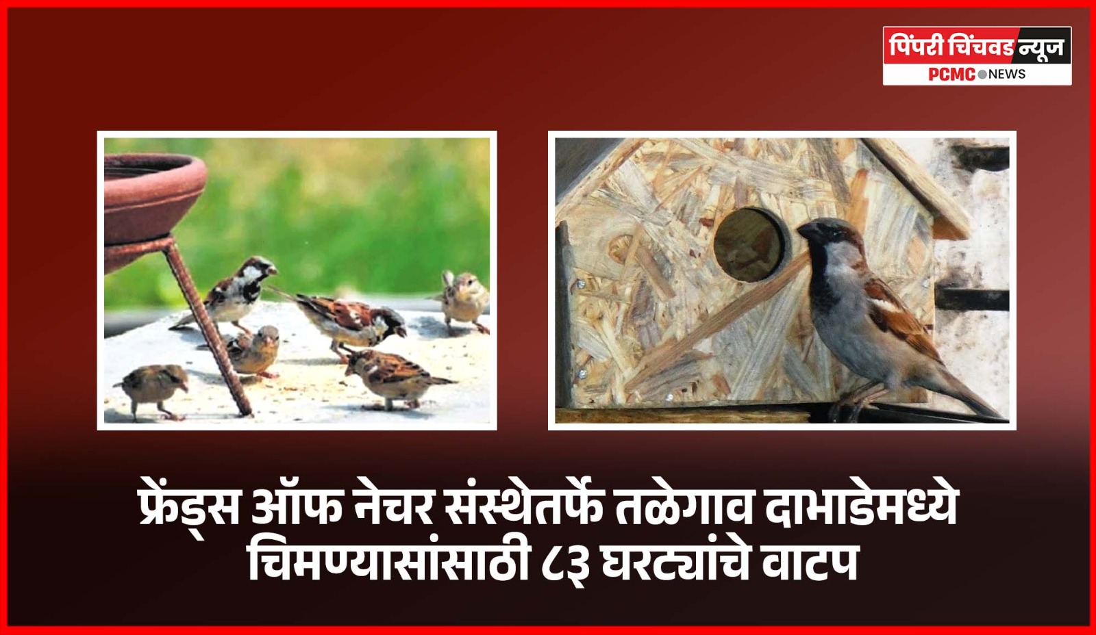 फ्रेंड्स ऑफ नेचर संस्थेतर्फे तळेगाव दाभाडेमध्ये चिमण्यासांसाठी ८३ घरट्यांचे वाटप