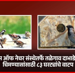 फ्रेंड्स ऑफ नेचर संस्थेतर्फे तळेगाव दाभाडेमध्ये चिमण्यासांसाठी ८३ घरट्यांचे वाटप