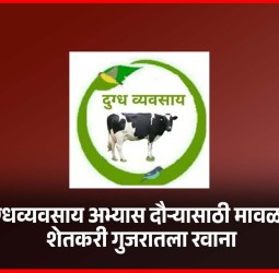 दुग्धव्यवसाय अभ्यास दौऱ्यासाठी मावळचे शेतकरी गुजरातला रवाना