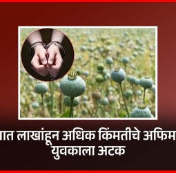 साडेसात लाखांहून अधिक किंमतीचे अफिम जप्त, युवकाला अटक