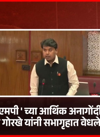 सीएनजी बसेस भाडेतत्त्वावर घेण्याच्या निविदा प्रक्रियेची चौकशी करा - आमदार अमित गोरखे