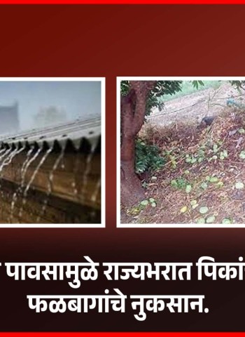अवकाळी पावसामुळे राज्यभरात पिकांचे आणि फळबागांचे नुकसान
