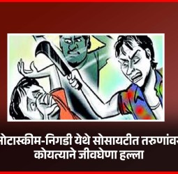 ओटास्कीम-निगडी येथे सोसायटीत तरुणांवर कोयत्याने जीवघेणा हल्ला