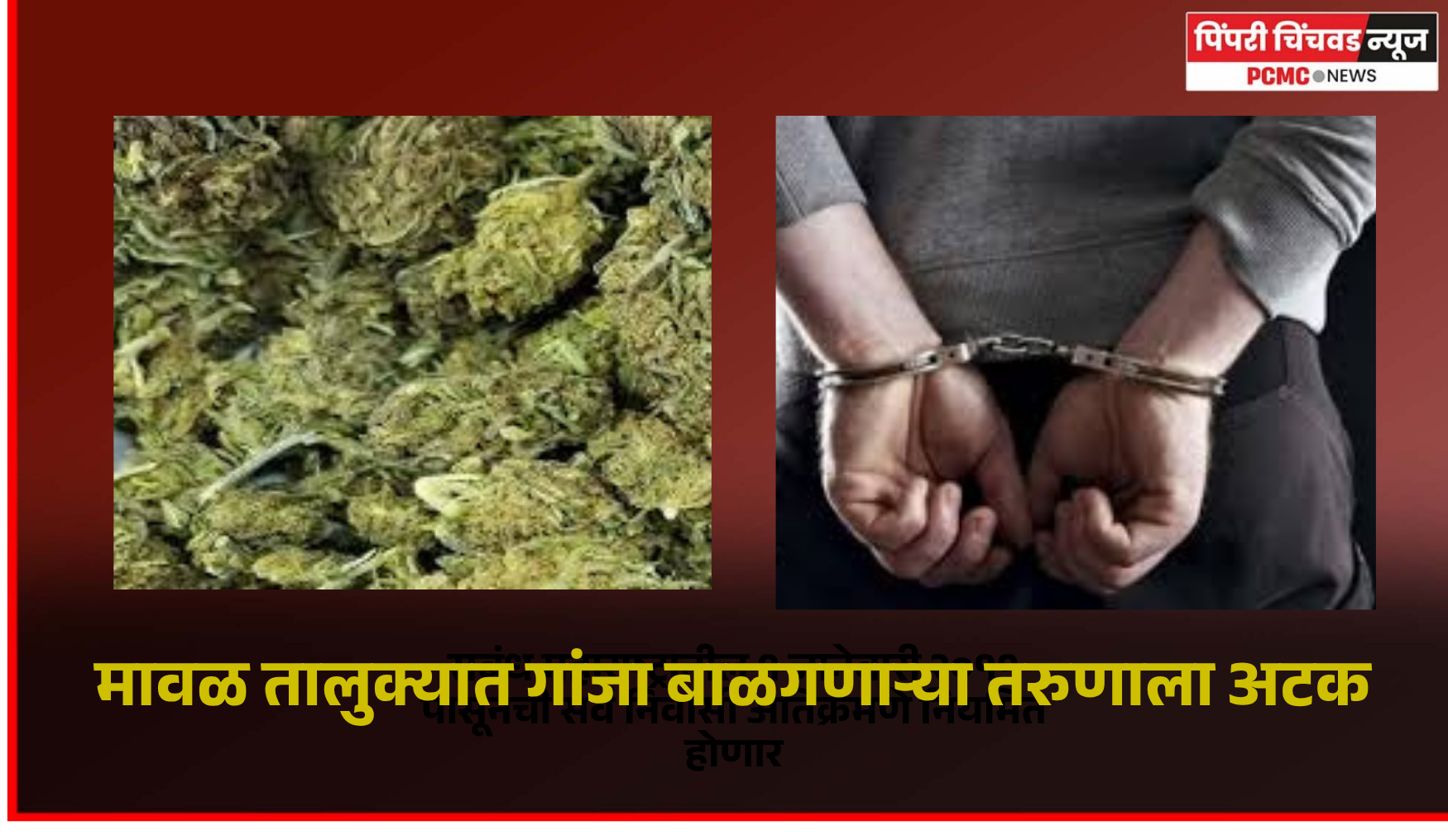 मावळ तालुक्यात गांजा बाळगणाऱ्या तरुणाला अटक