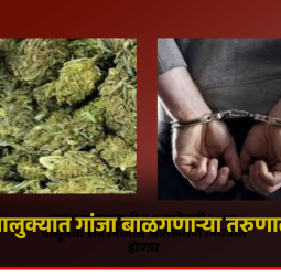 मावळ तालुक्यात गांजा बाळगणाऱ्या तरुणाला अटक