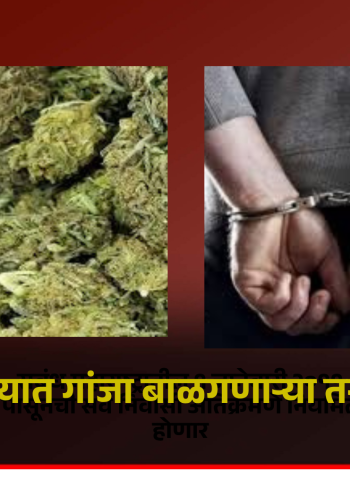 मावळ तालुक्यात गांजा बाळगणाऱ्या तरुणाला अटक
