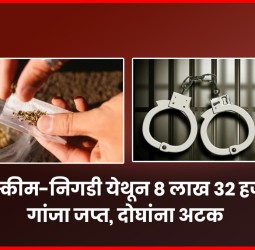 ८ लाख ३२ हजारांचा गांजा बाळगणाऱ्या दोघांना ओटा स्कीम-निगडी येथून अटक
