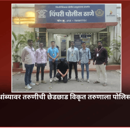 बीआरटी बस थांब्यावर तरुणीची छेडछाड विकृत तरुणाला अटक, शंभराहून अधिक सीसीटीव्ही तपासून पोलिसांची कारवाई
