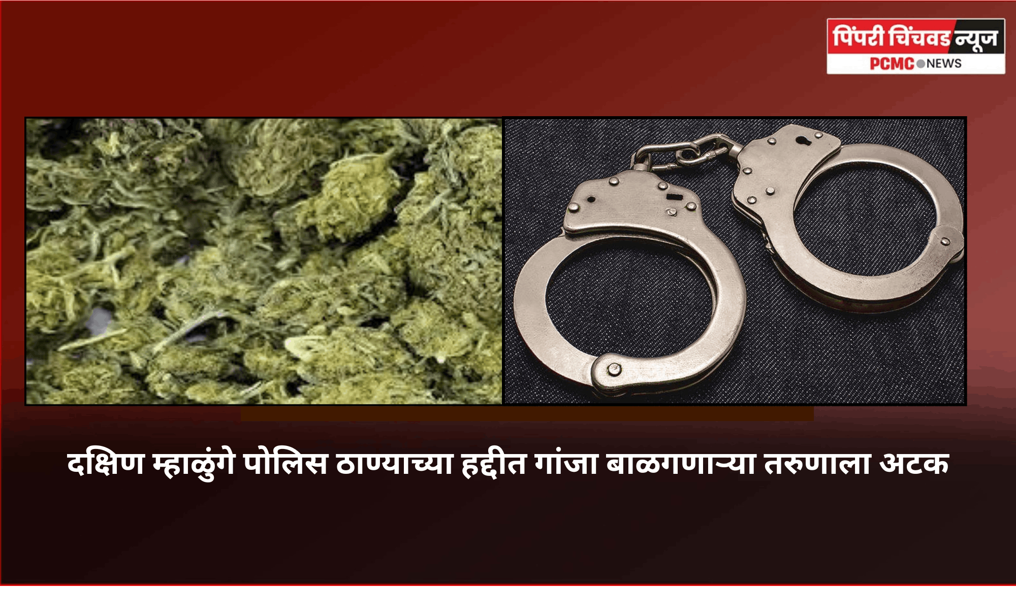 दक्षिण म्हाळुंगे पोलिस ठाण्याच्या हद्दीत गांजा बाळगणाऱ्या तरुणाला अटक