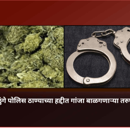 दक्षिण म्हाळुंगे पोलिस ठाण्याच्या हद्दीत गांजा बाळगणाऱ्या तरुणाला अटक