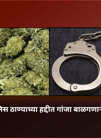 दक्षिण म्हाळुंगे पोलिस ठाण्याच्या हद्दीत गांजा बाळगणाऱ्या तरुणाला अटक