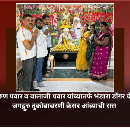 वृक्षमित्र अरुण पवार व बालाजी पवार यांच्यातर्फे भंडारा डोंगरे येथे जगद्गुरु तुकोबाचरणी केसर आंब्याची रास
