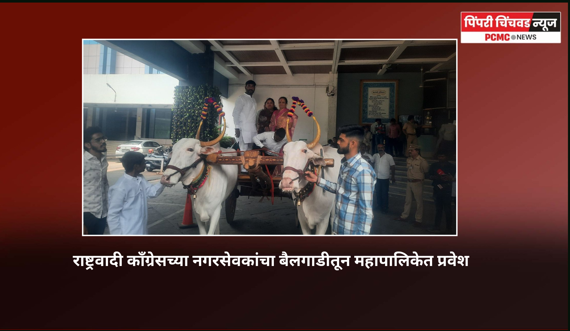 राष्ट्रवादी कॉंग्रेसच्या नगरसेवकांचा बैलगाडीतून महापालिकेत प्रवेश