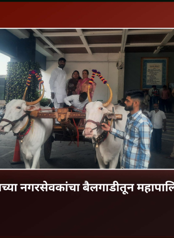 राष्ट्रवादी कॉंग्रेसच्या नगरसेवकांचा बैलगाडीतून महापालिकेत प्रवेश