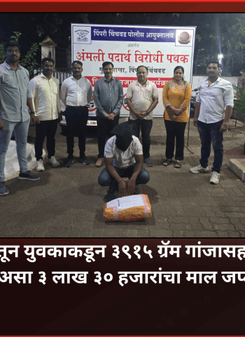 थेरगाव परिसरातून युवकाकडून ३९१५ ग्रॅम गांजासह ३ लाख ३० हजारांचा माल जप्त, अंमली पदार्थ विरोधी पथकाची कारवाई