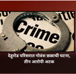 देहूरोड परिसरात गोवंश छळाची घटना, तीन आरोपी अटक