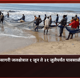 blog-image
