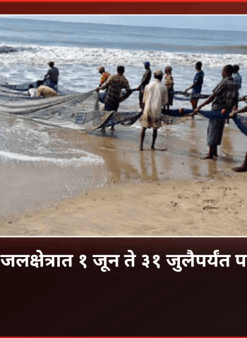 महाराष्ट्राच्या सागरी जलक्षेत्रात  १ जून ते ३१ जुलैपर्यंत पावसाळी मासेमारी बंद राहणार