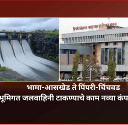 blog-image