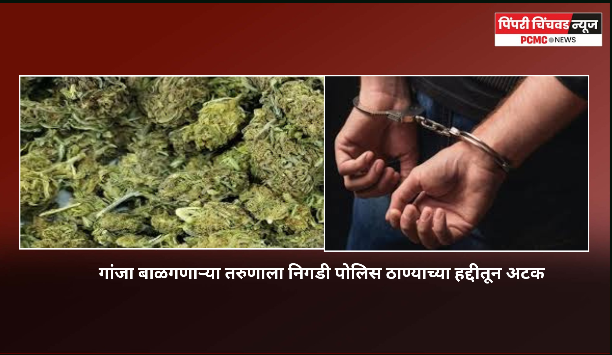 गांजा बाळगणाऱ्या तरुणाला निगडी पोलिस ठाण्याच्या हद्दीतून अटक