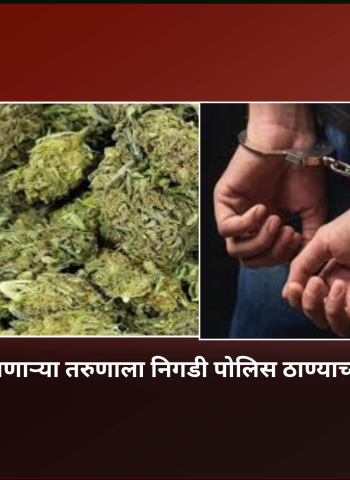 गांजा बाळगणाऱ्या तरुणाला निगडी पोलिस ठाण्याच्या हद्दीतून अटक