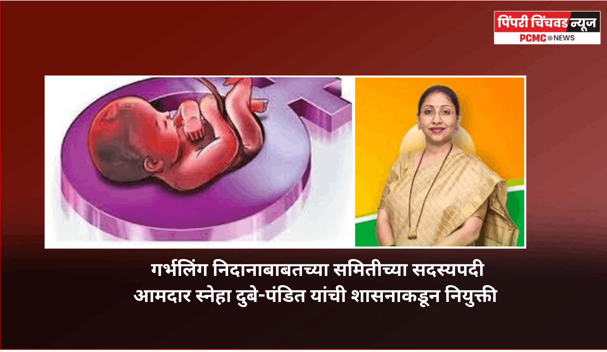 गर्भलिंग निदानाबाबतच्या समितीच्या सदस्यपदी आमदार स्नेहा दुबे-पंडित यांची शासनाकडून नियुक्ती