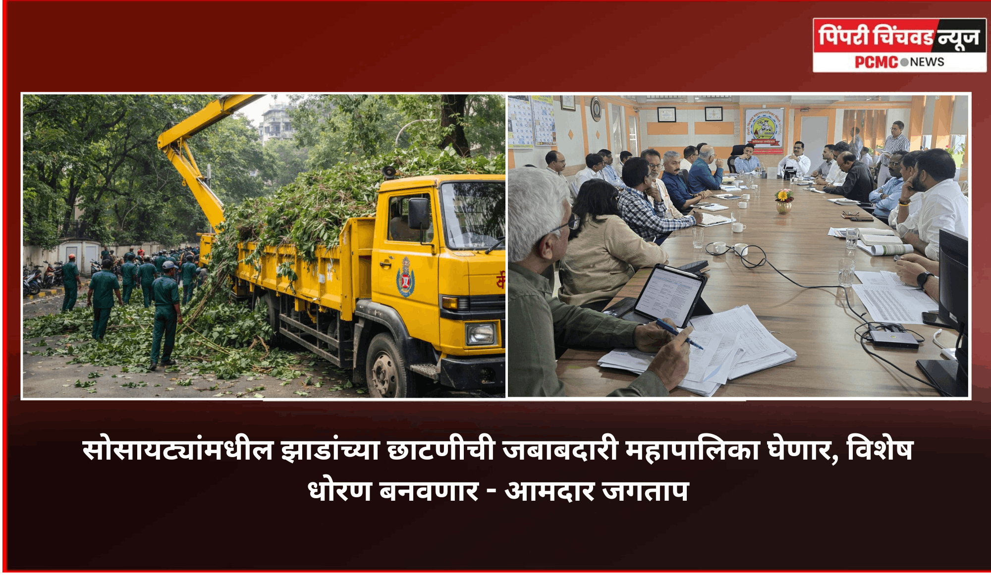सोसायट्यांमधील झाडांच्या छाटणीची जबाबदारी महापालिका घेणार, विशेष धोरण बनवणार - आमदार जगताप