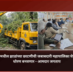 सोसायट्यांमधील झाडांच्या छाटणीची जबाबदारी महापालिका घेणार, विशेष धोरण बनवणार - आमदार जगताप