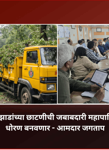 सोसायट्यांमधील झाडांच्या छाटणीची जबाबदारी महापालिका घेणार, विशेष धोरण बनवणार - आमदार जगताप