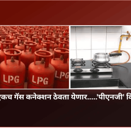 घरात आता एकच गॅस कनेक्शन ठेवता येणार.....'पीएनजी' किंवा 'एलपीजी'