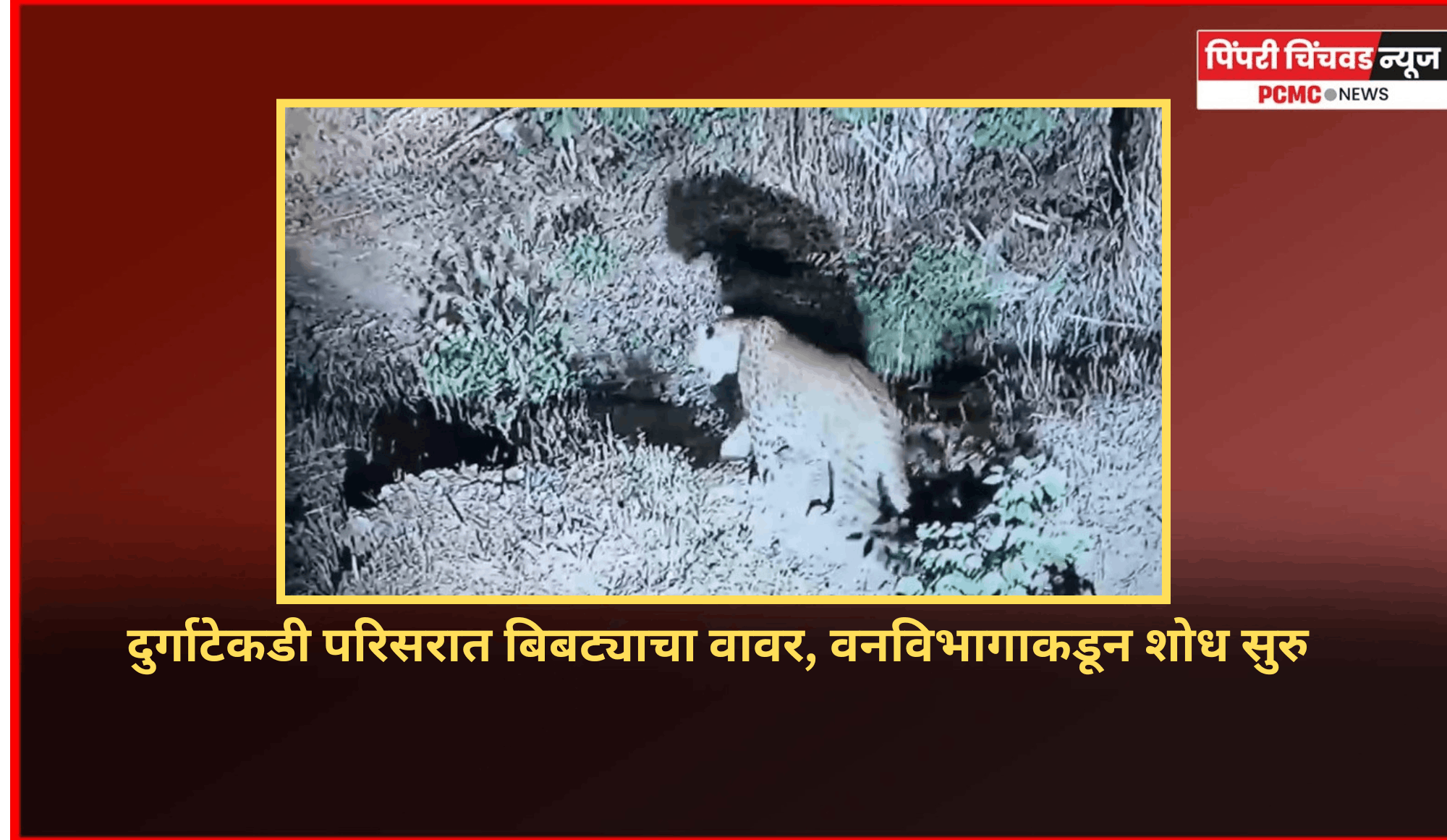 दुर्गाटेकडी परिसरात बिबट्याचा वावर, वनविभागाकडून शोध सुरु, नागरीकांना सावधगिरी बाळगण्याच्या सूचना