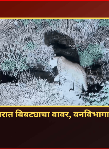दुर्गाटेकडी परिसरात बिबट्याचा वावर, वनविभागाकडून शोध सुरु, नागरीकांना सावधगिरी बाळगण्याच्या सूचना
