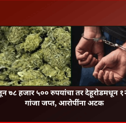 हिंजवडीतून ७८ हजार ५०० रुपयांचा तर देहूरोडमधून १२ हजारांचा गांजा जप्त, आरोपींना अटक
