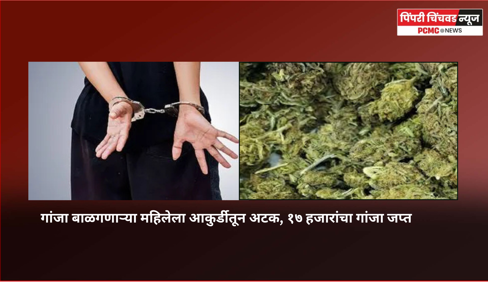 गांजा बाळगणाऱ्या महिलेला आकुर्डीतून अटक, १७ हजारांचा गांजा जप्त