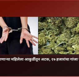 गांजा बाळगणाऱ्या महिलेला आकुर्डीतून अटक, १७ हजारांचा गांजा जप्त
