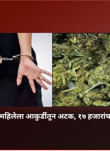 गांजा बाळगणाऱ्या महिलेला आकुर्डीतून अटक, १७ हजारांचा गांजा जप्त