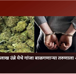 नवलाख उंब्रे येथे गांजा बाळगणाऱ्या तरुणाला अटक