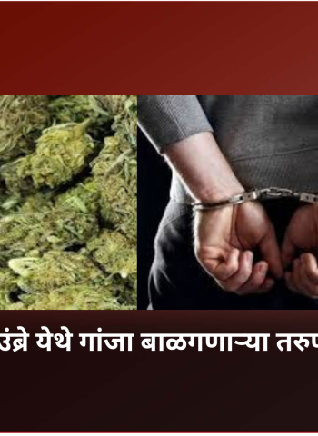 नवलाख उंब्रे येथे गांजा बाळगणाऱ्या तरुणाला अटक