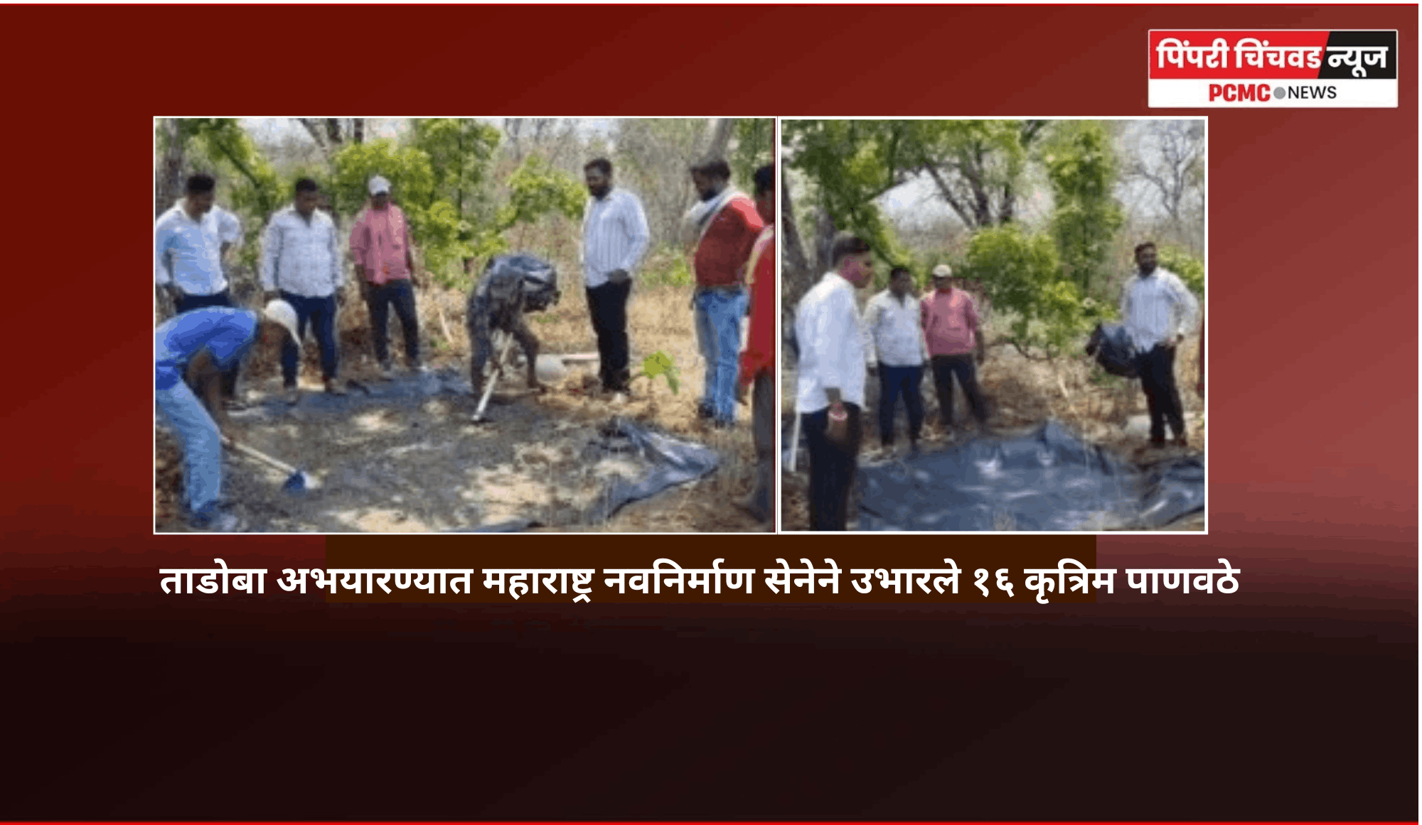 ताडोबा अभयारण्यात महाराष्ट्र नवनिर्माण सेनेने उभारले १६ कृत्रिम पाणवठे