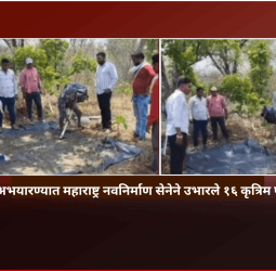 ताडोबा अभयारण्यात महाराष्ट्र नवनिर्माण सेनेने उभारले १६ कृत्रिम पाणवठे