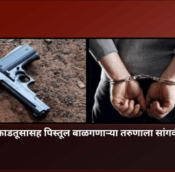 जिवंत काडतूसासह पिस्तूल बाळगणाऱ्या तरुणाला सांगवीतून अटक