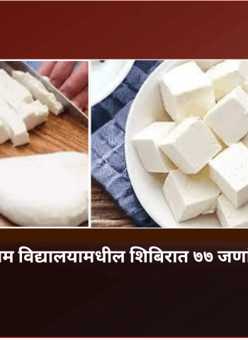 पनीरचा उल्लेख करुन प्रत्यक्षात चीज अॅनालॉग दिल्यास व्यावसायिकांवर कारवाई केली जाणार, अन्न-औषध प्रशासनाचा इशारा