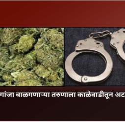 गांजा बाळगणाऱ्या तरुणाला काळेवाडीतून अटक