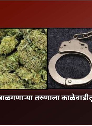 गांजा बाळगणाऱ्या तरुणाला काळेवाडीतून अटक
